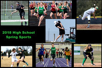 2018 High School Spring Sports