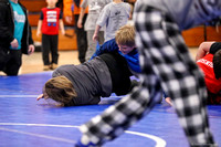 Youth Wrestling-FREE DIGITAL DOWNLOADS