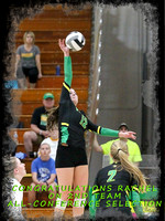Girls Volleyball-all-conference photos