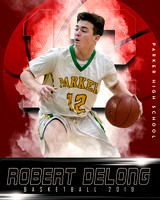 Robert Adam-Basketball -16X20-Robert DeLong