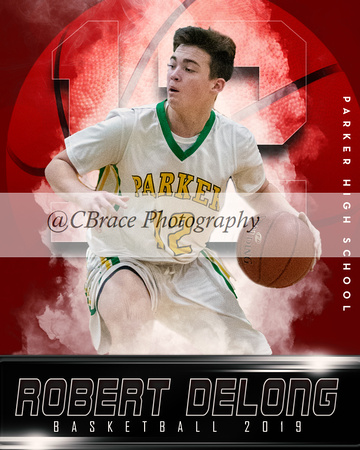 Robert Adam-Basketball -16X20-Robert DeLong